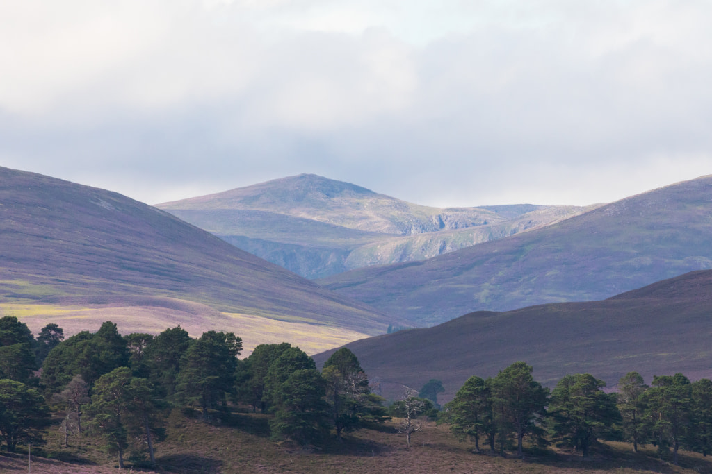 Beinn a'Bhuird from the Dee valley